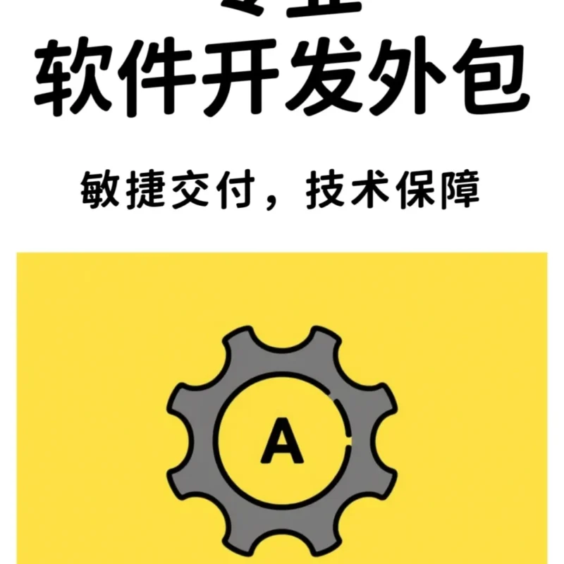 专业承接软件开发外包 敏捷交付